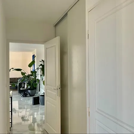 Moderne * Монпелье